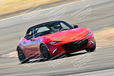 media/Mar-23-2025-West Coast Racing (Sun) [[de161b708f]]/Blue Group/Session 3 (Turns 3 and 5)/